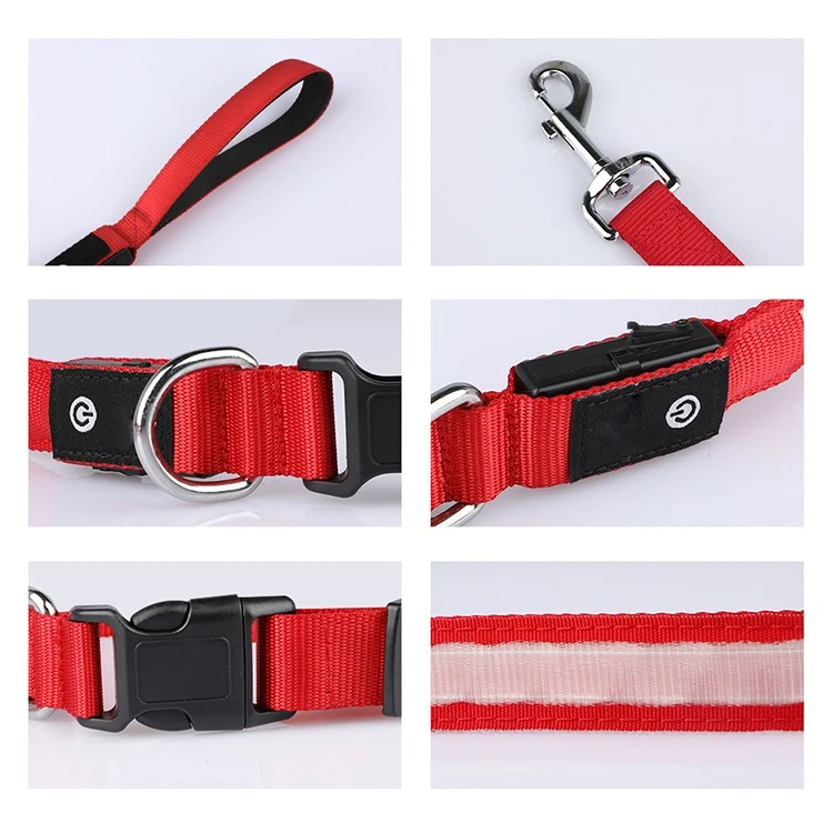 Led Light Up Dog Lead best