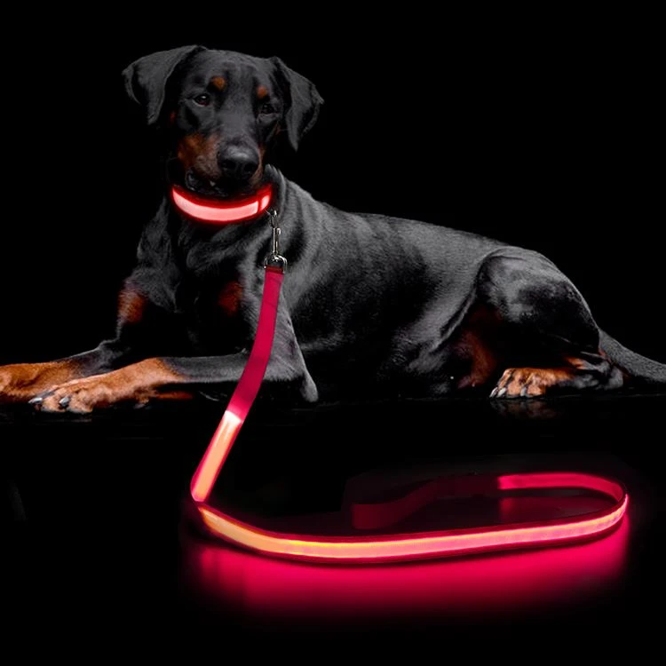 Led Light Up Dog Lead