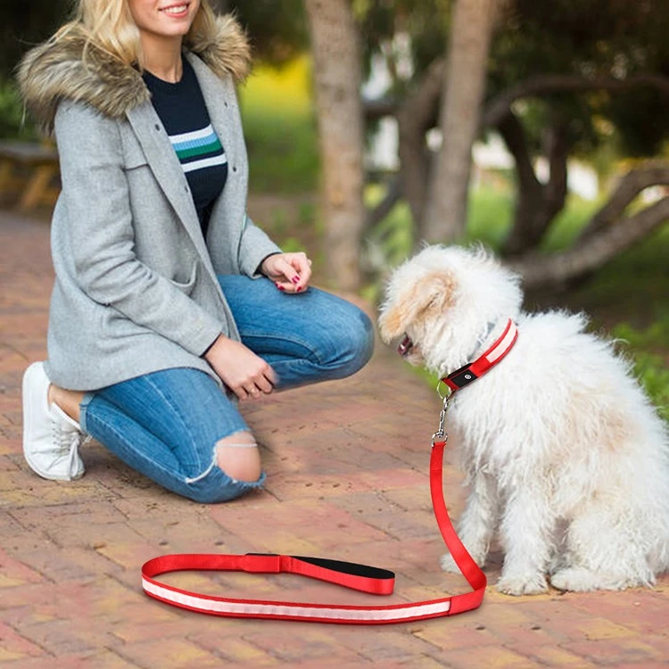 Led Light Up Dog Lead factory